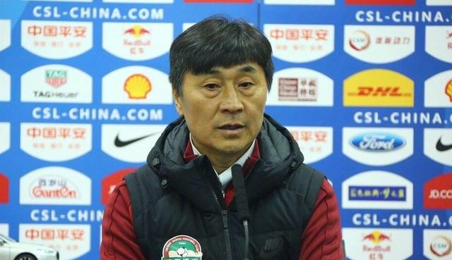 国内精品久久久久久久久野战