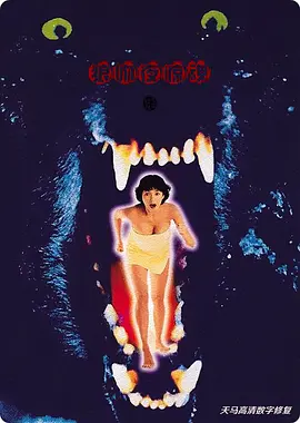 日韩午夜电影
