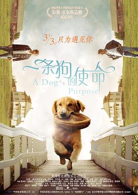 欧美摸胸