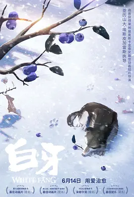 午夜伊人网