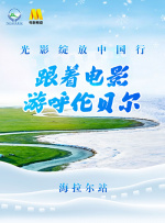 无夜精品久久久久久