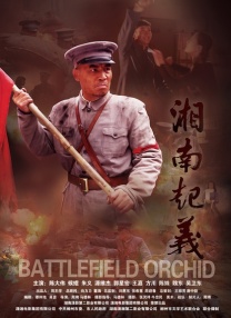 www.91在线播放